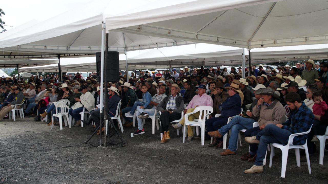 Cerca de mil personas asistieron a la primera subasta ganadera en La Ceja