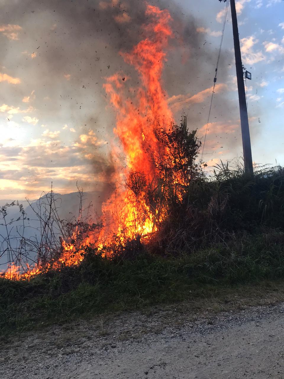 En lo corrido del año, 5 incendios forestales  han sido atendidos en La Ceja