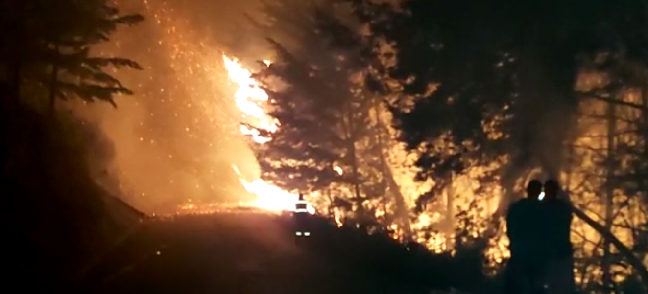 Incendio forestal en Abejorral aunque está controlado, persisten las llamas