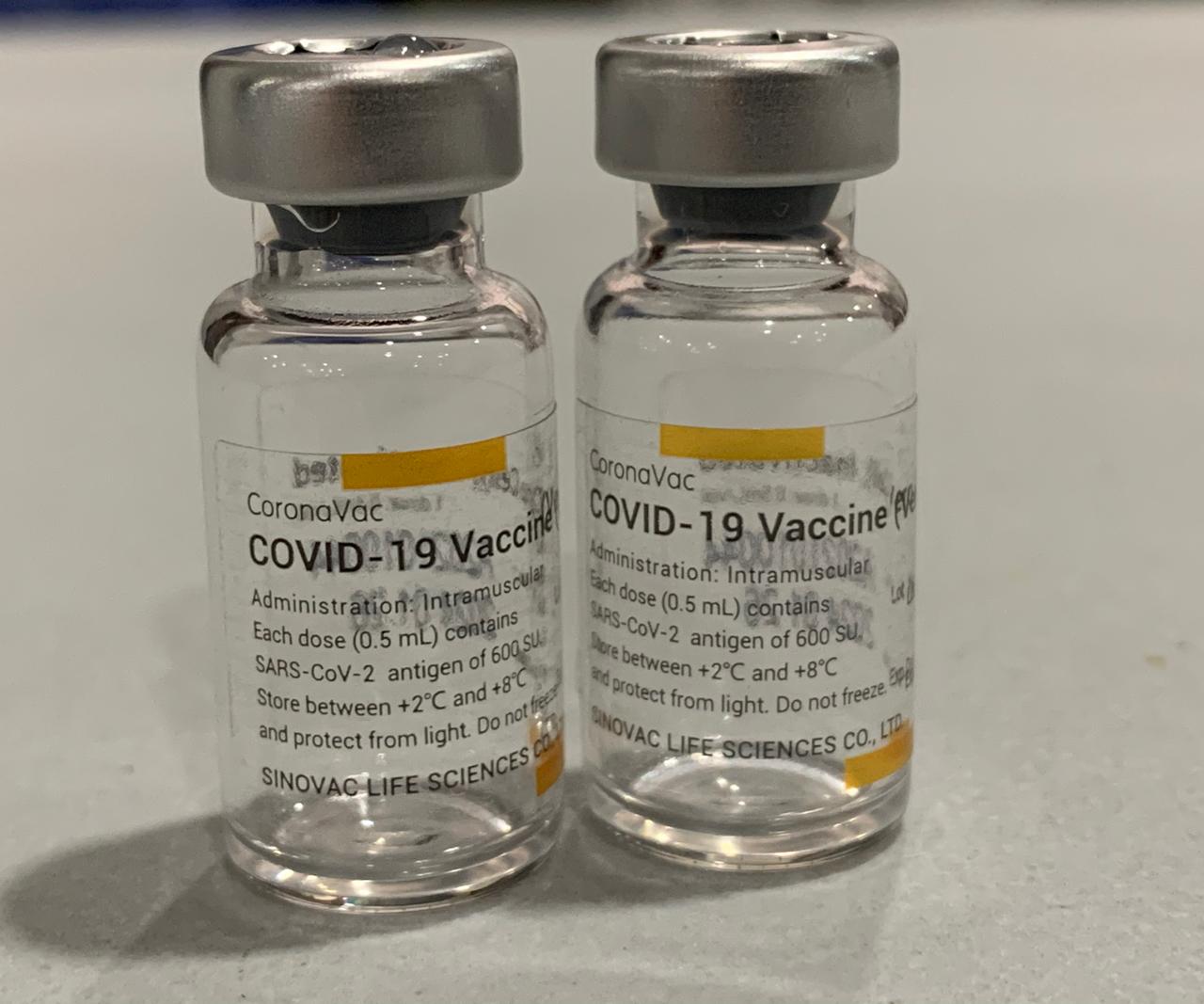 Hoy llegan 1.231 vacunas de Sinovac a La Ceja