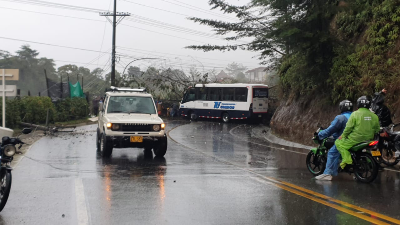 Un árbol cayó encima de un microbús de Transunidos en la vía La Ceja- Medellín cerca al sector Don Diego