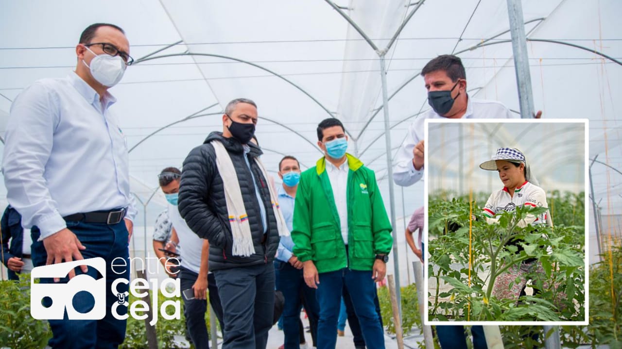 Se inauguró en El Carmen, uno de los invernaderos más modernos del país