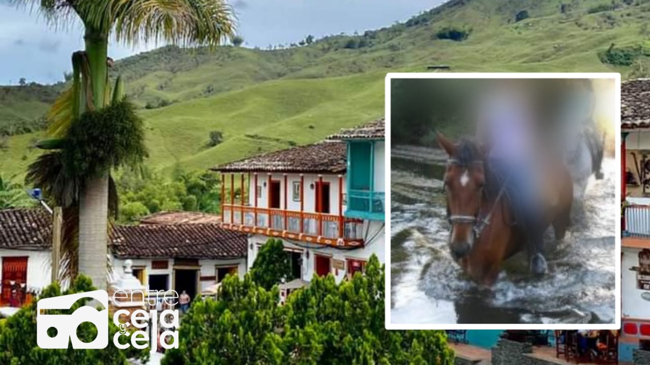 Concepción: Campesino murió ahogado tras ser arrastrado junto a su caballo por una quebrada.