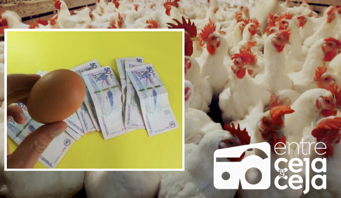 Según la Gob. de Antioquia, el aumento de precios en huevo y pollo no se debe a desabastecimiento.