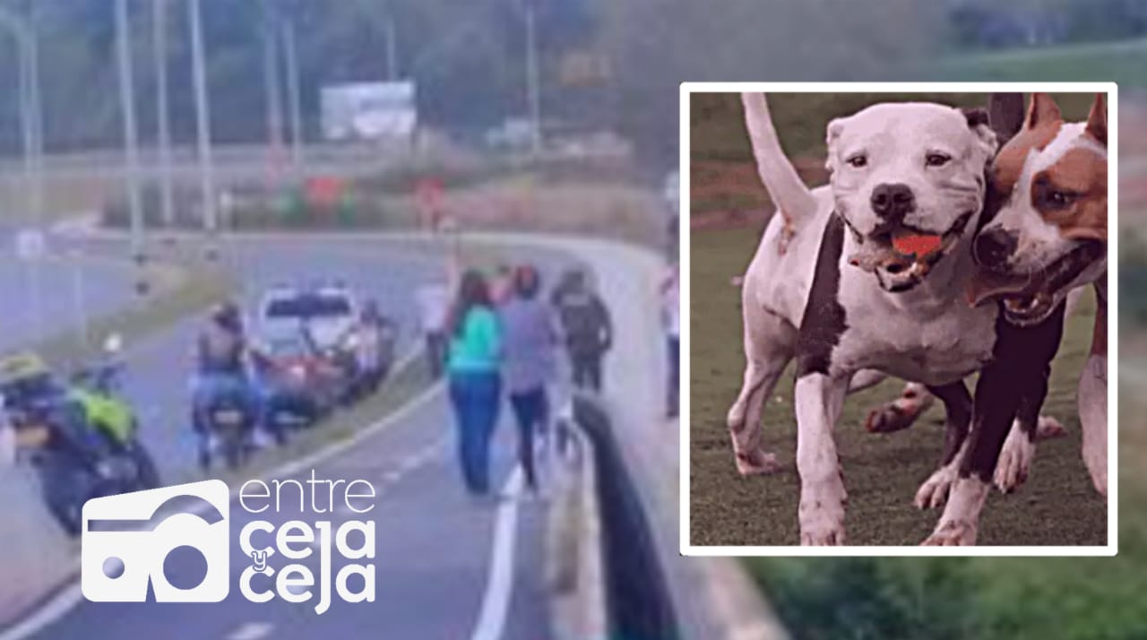 Rionegro: Un hombre fue asesinado junto a su mascota mientras pescaba en el río.