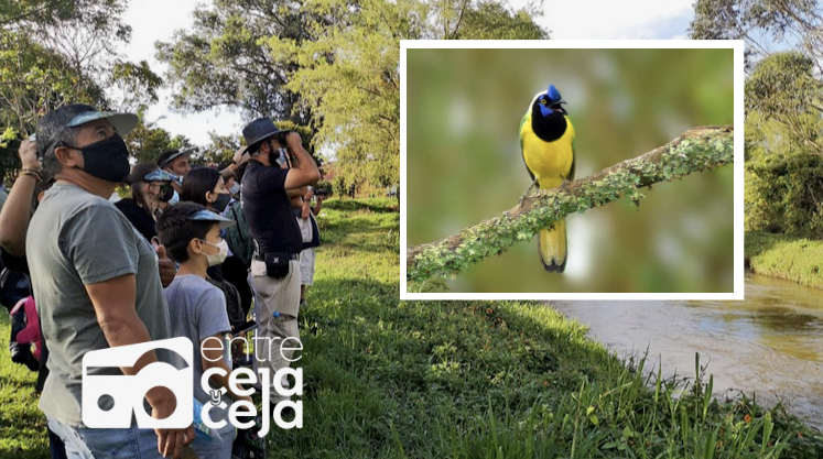 “Rionegro entre aves” estrategia para promover la biodiversidad y conservación natural”.