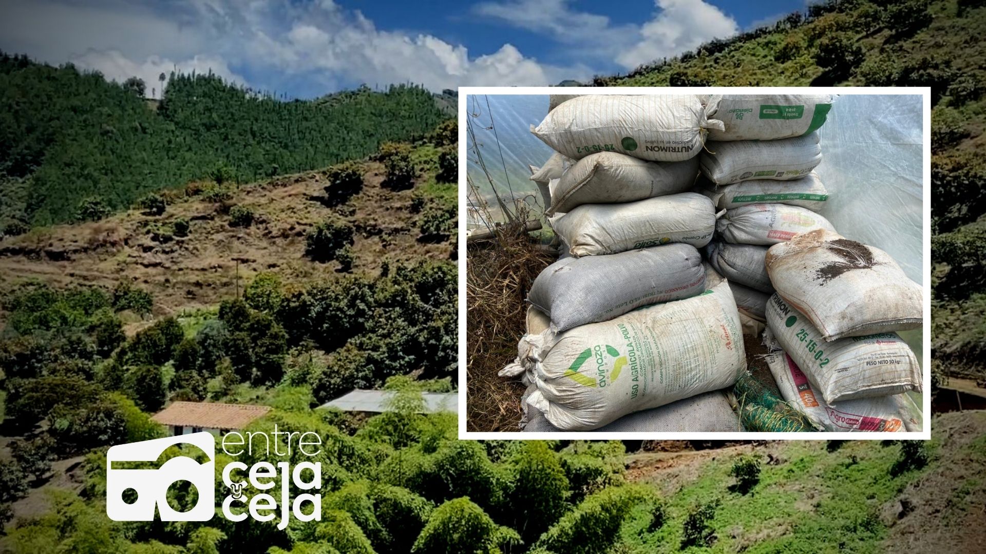 La Ceja: productores agrícolas reciben 150 toneladas abono orgánico cada mes, sin costo.