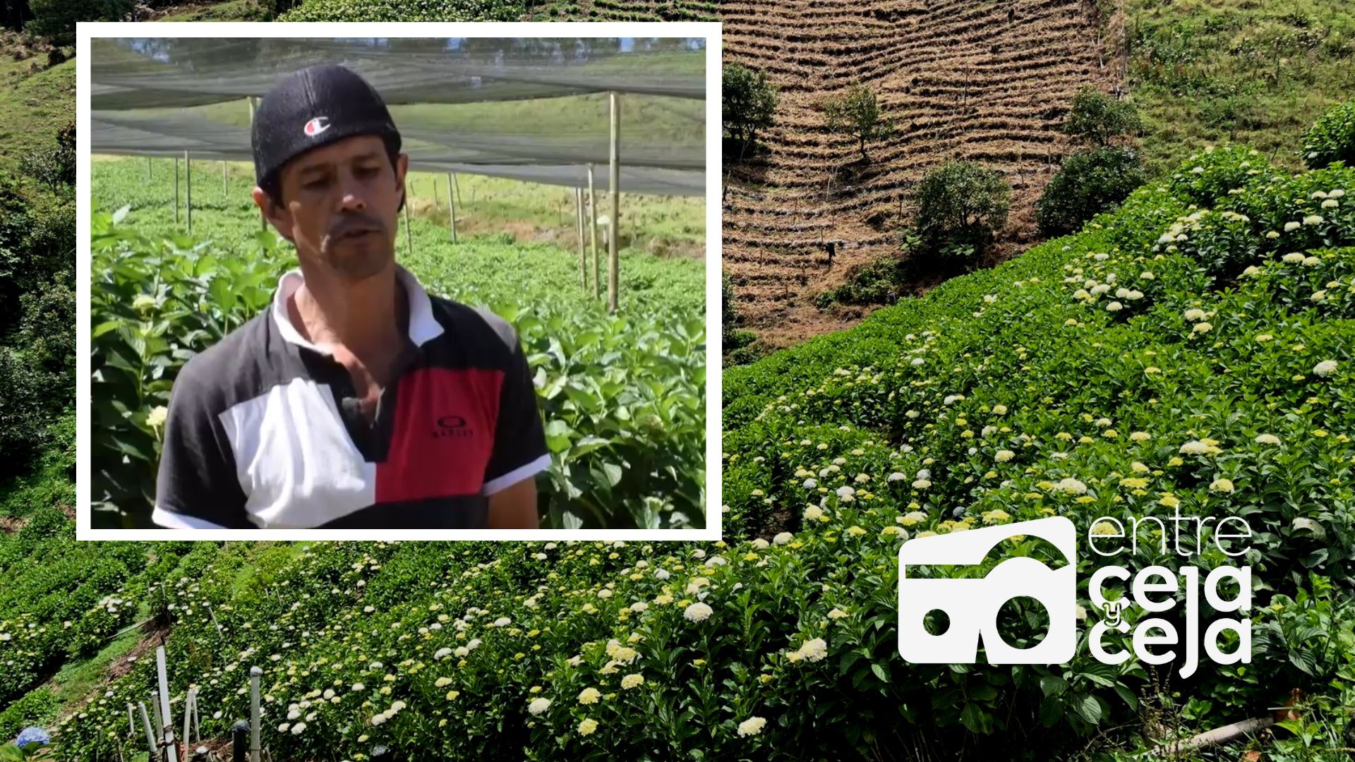 Floricultores de La Ceja formalizarán sus labores para proteger fuentes hídricas.