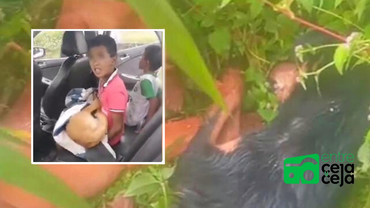 Rionegro: Una mujer le envenenó las mascotas a dos niños