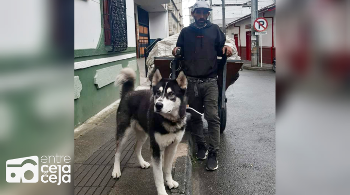 Reciclador busca la familia de un perrito que se encontró en Rionegro
