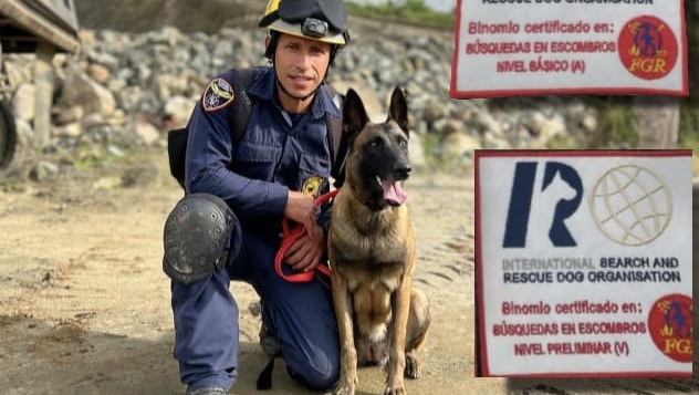 Marinilla ya cuenta con 4 perros certificados en búsqueda y rescate de personas