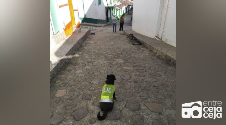 El policía más querido del país está en Concepción