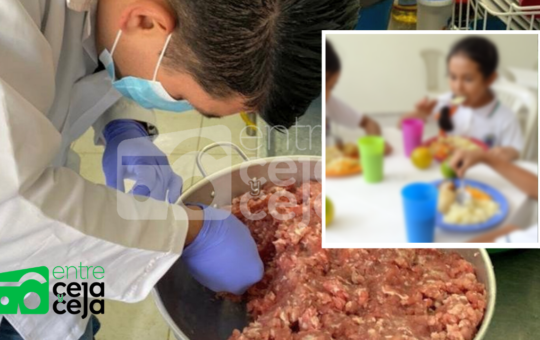 En restaurantes escolares de La Ceja habrían suministrado carne de caballo a los niños
