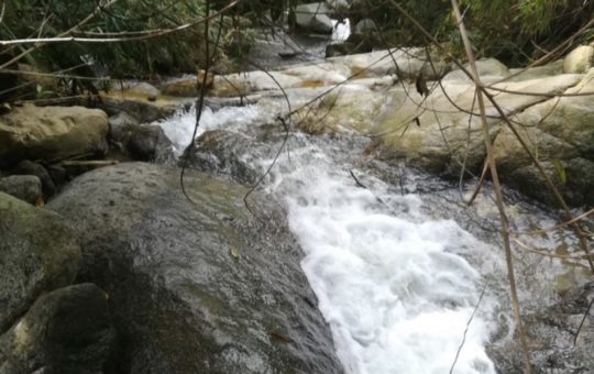 Mujer oriunda de La Ceja murió en medio de una creciente súbita de un río en Cocorná