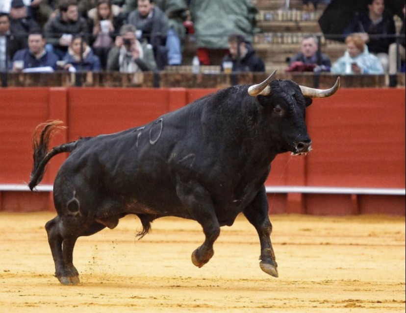 Vuelve y juega: hunden proyecto que prohíbe las corridas de toros