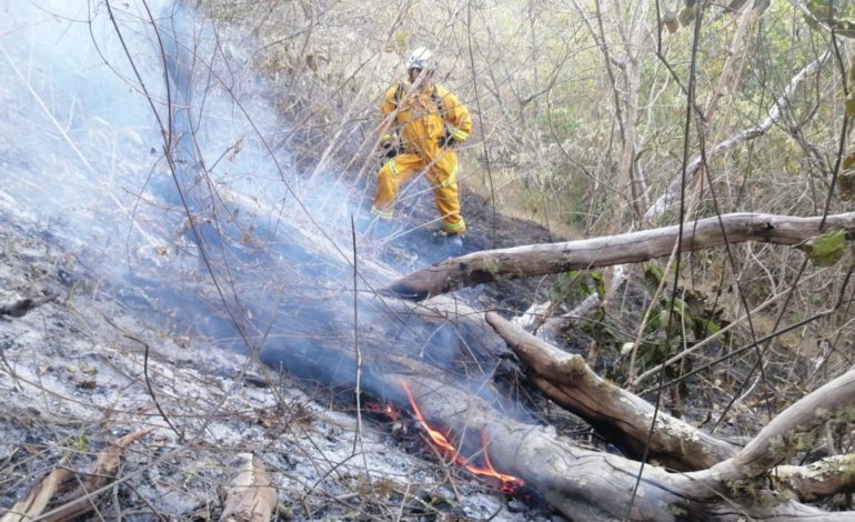 Alerta en Antioquia por incendios; conflagraciones dejan un muerto y millonarias pérdidas