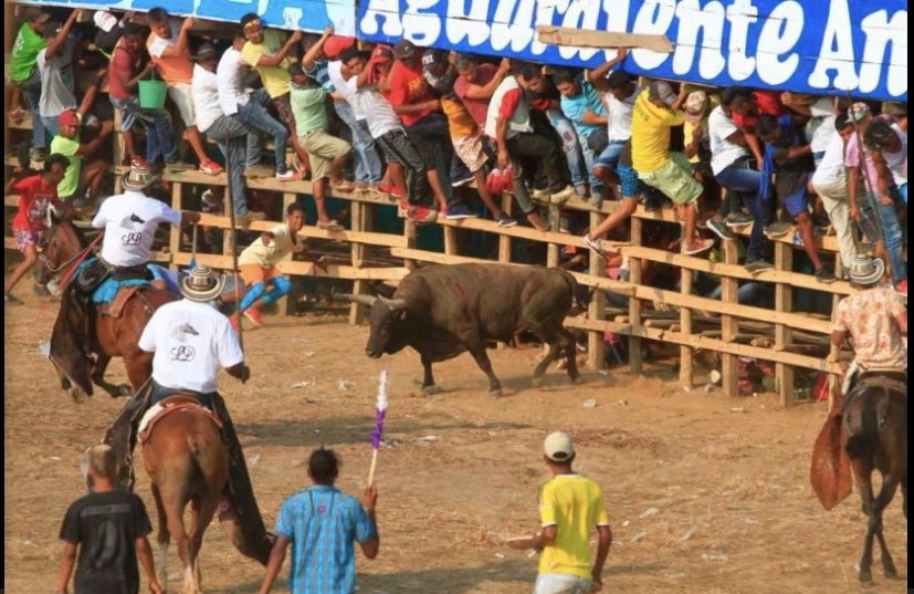 La Gobernación de Antioquia busca prohibir las corralejas