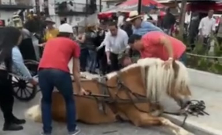 El Retiro: se prohíbe indefinidamente el ingreso de caballos al parque 