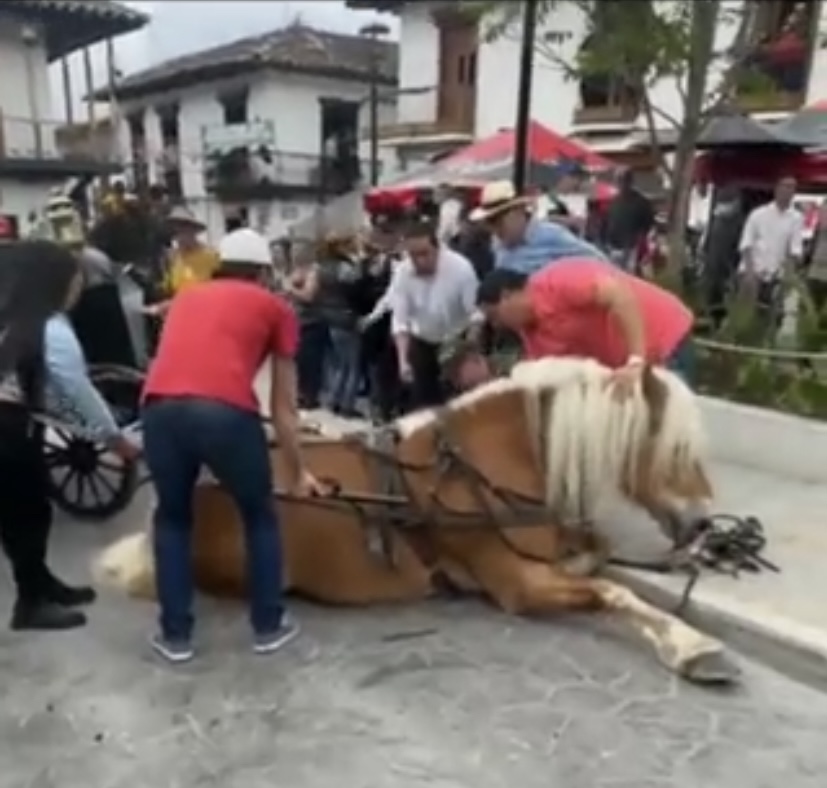 El Retiro: se prohíbe indefinidamente el ingreso de caballos al parque 