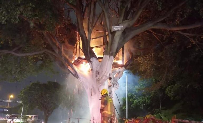 ¿De quién era la casa del árbol que se quemó en la noche del domingo en Medellín?
