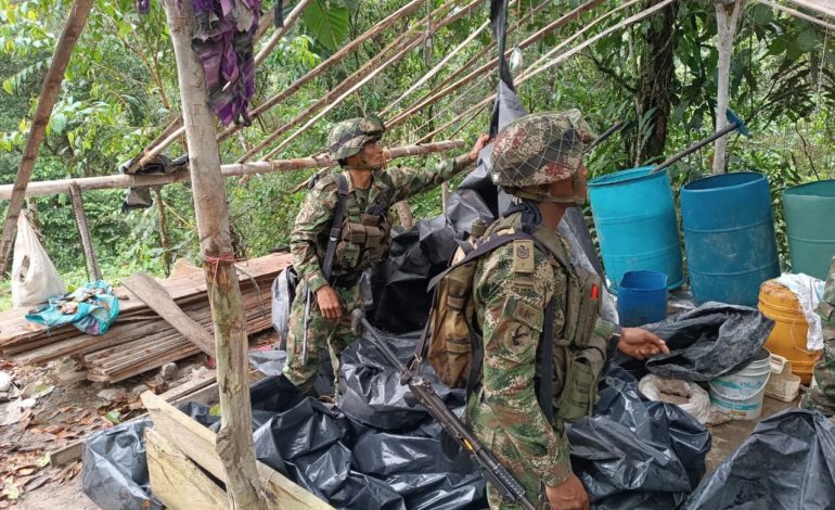 Ejército destruyó laboratorio de coca en San Luis