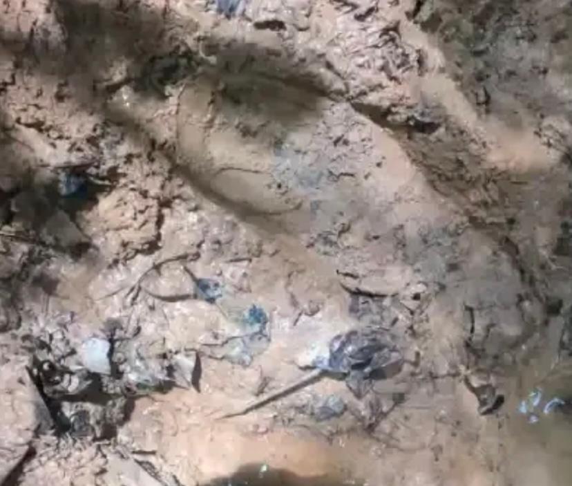Encuentran nuevas pistas de los niños desaparecidos en el Guaviare