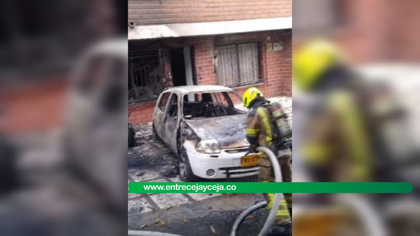 Bomberos rescataron 6 perritos de un incendio estructural