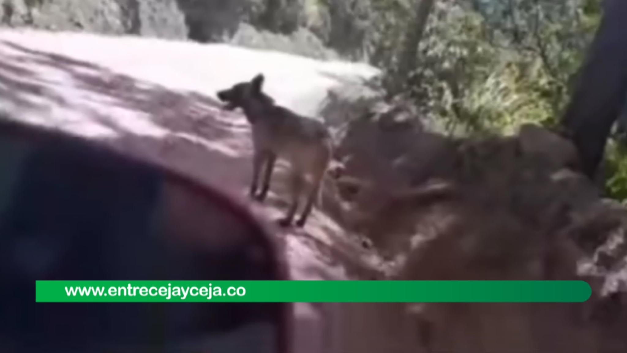 Aseguran haber visto a Wilson en zona rural del Huila; autoridades no se han pronunciado
