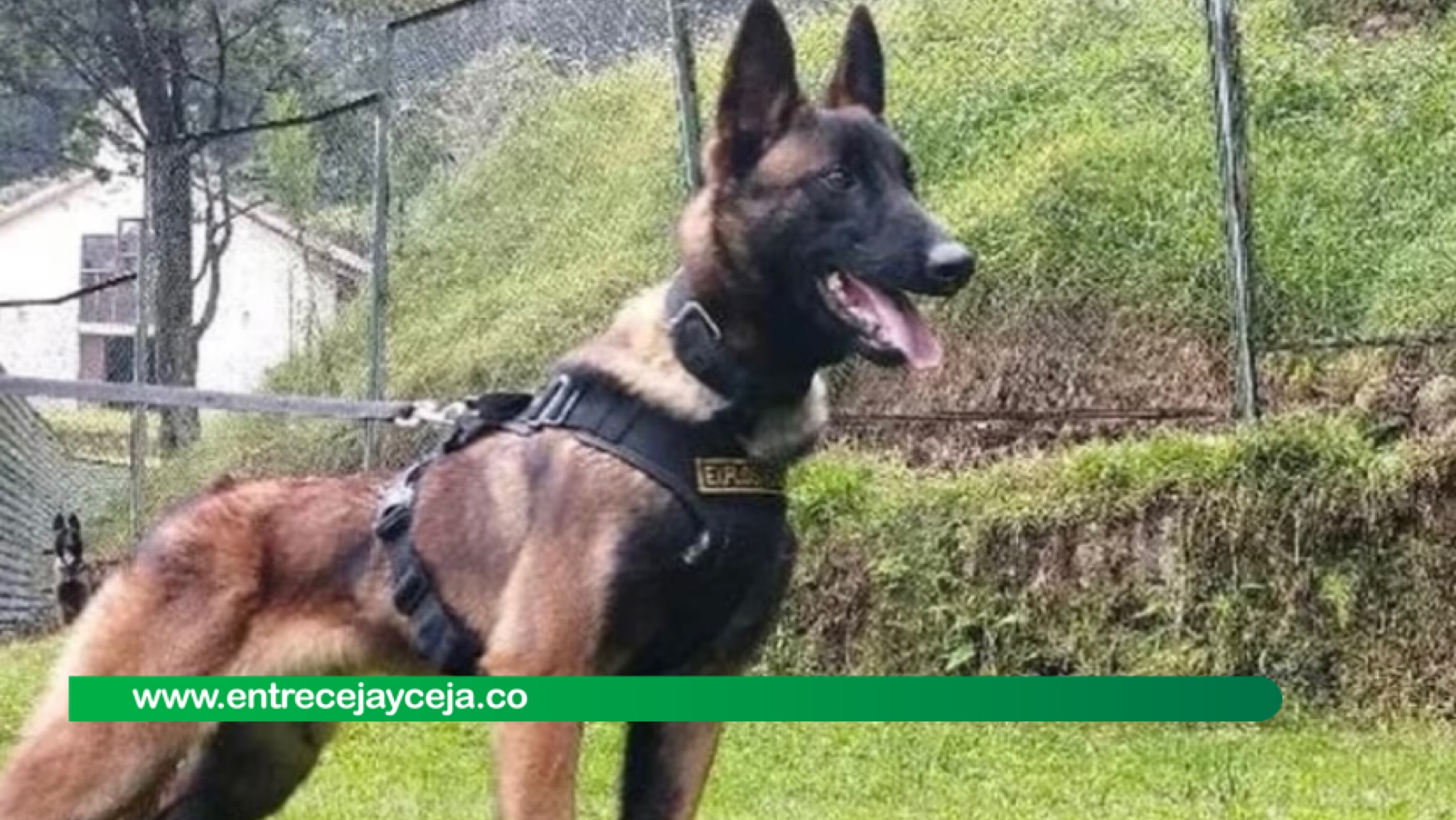 ¿Y Wilson? Se empiezan a desvanecer las esperanzas de hallarlo vivo