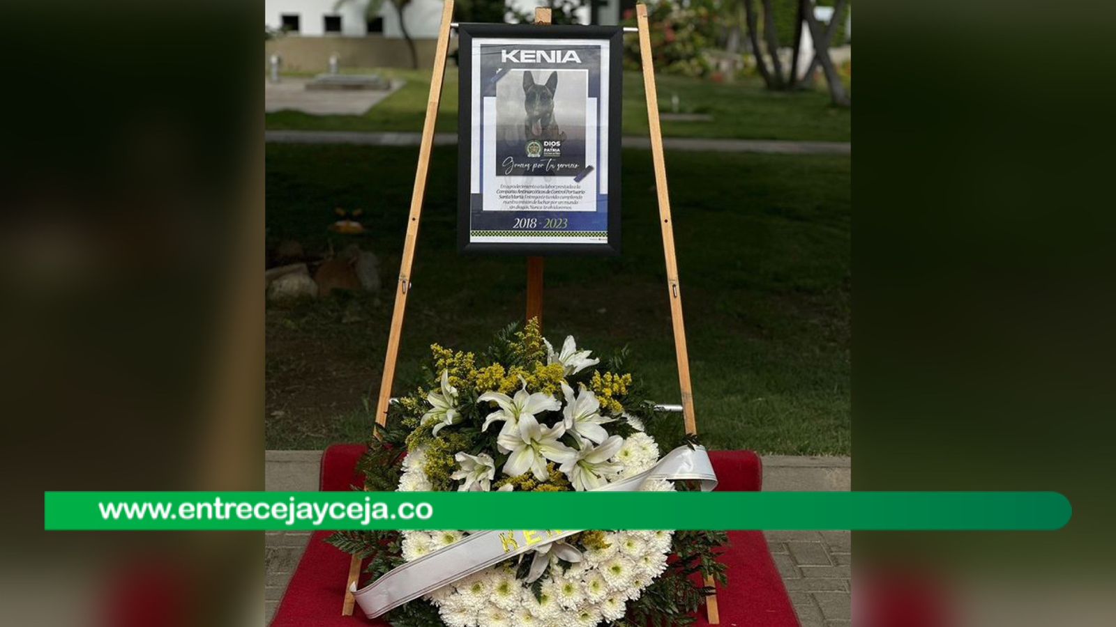 Envenenan a perrita policía; detecto 20 toneladas de droga
