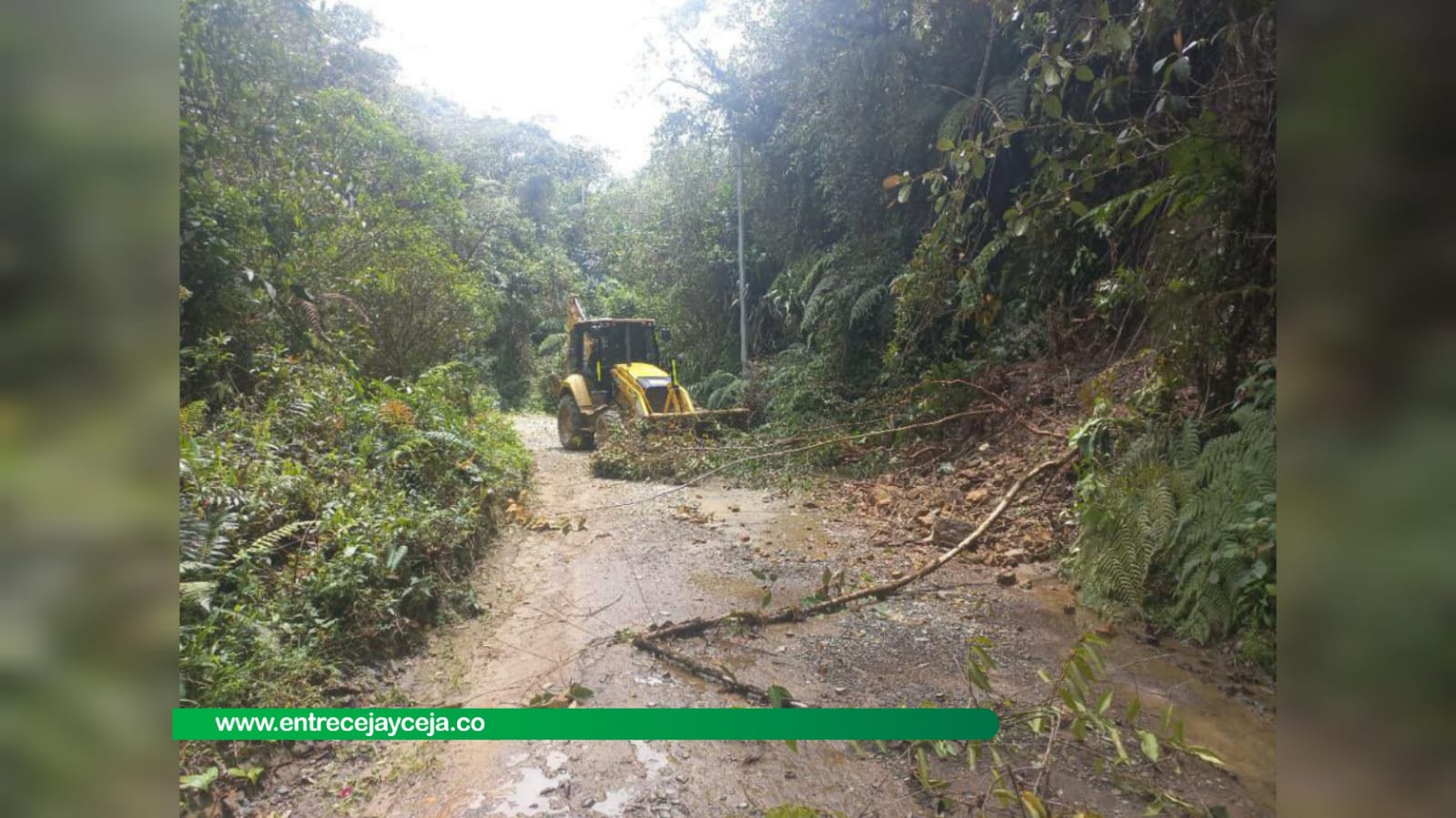 Fuertes lluvias dejaron 8 deslizamientos en El Carmen