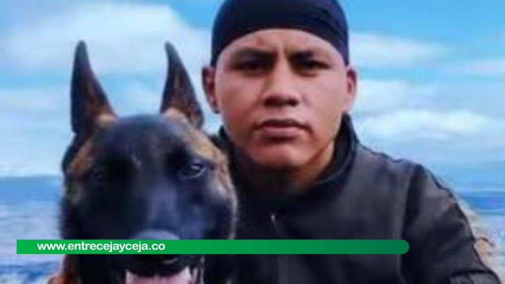 Guía canino de Wilson se niega a salir de la selva: “siento que me está buscando”