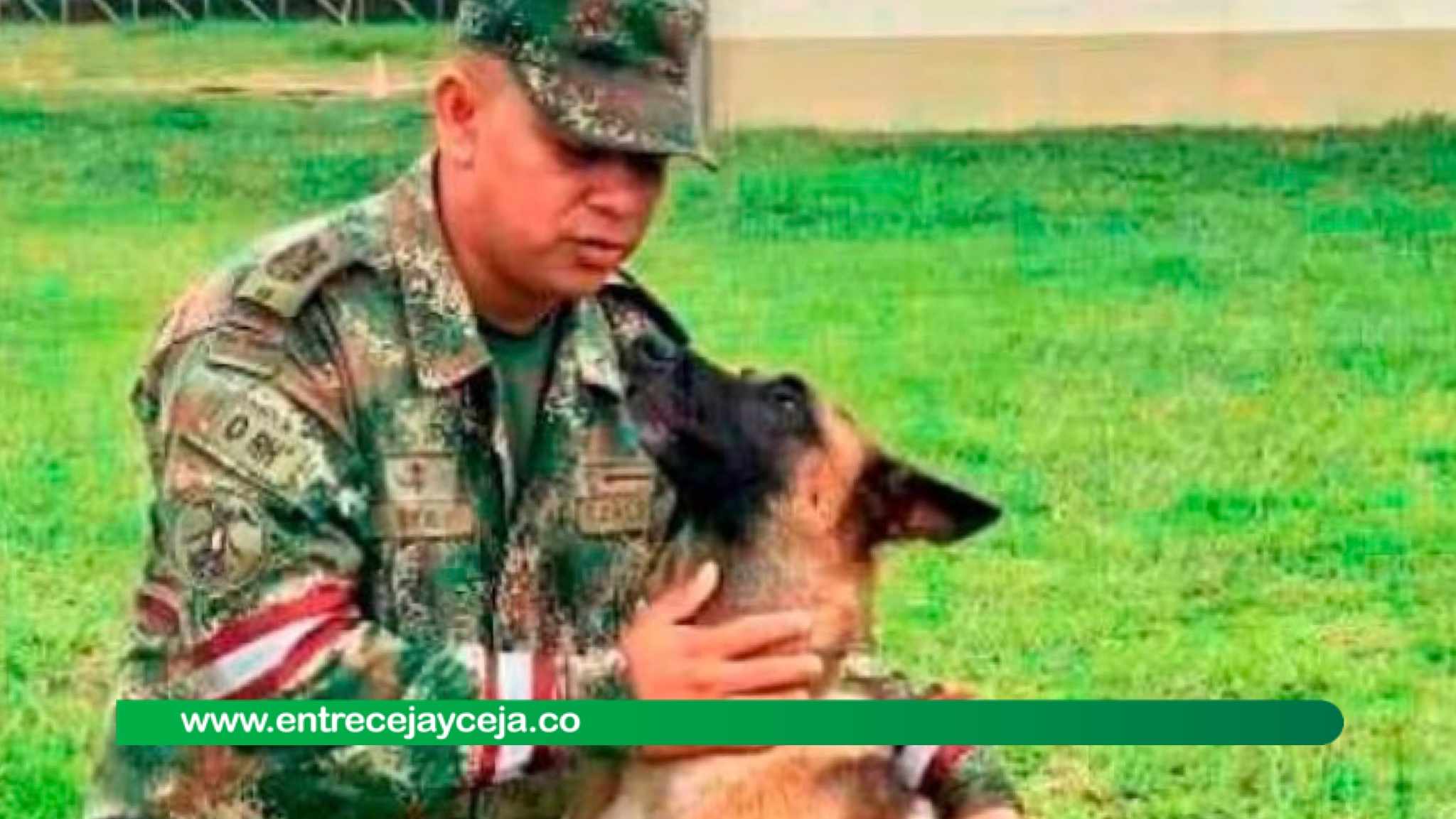 Cuidador de Wilson regresó de la selva, ¿qué pasó con el perro?