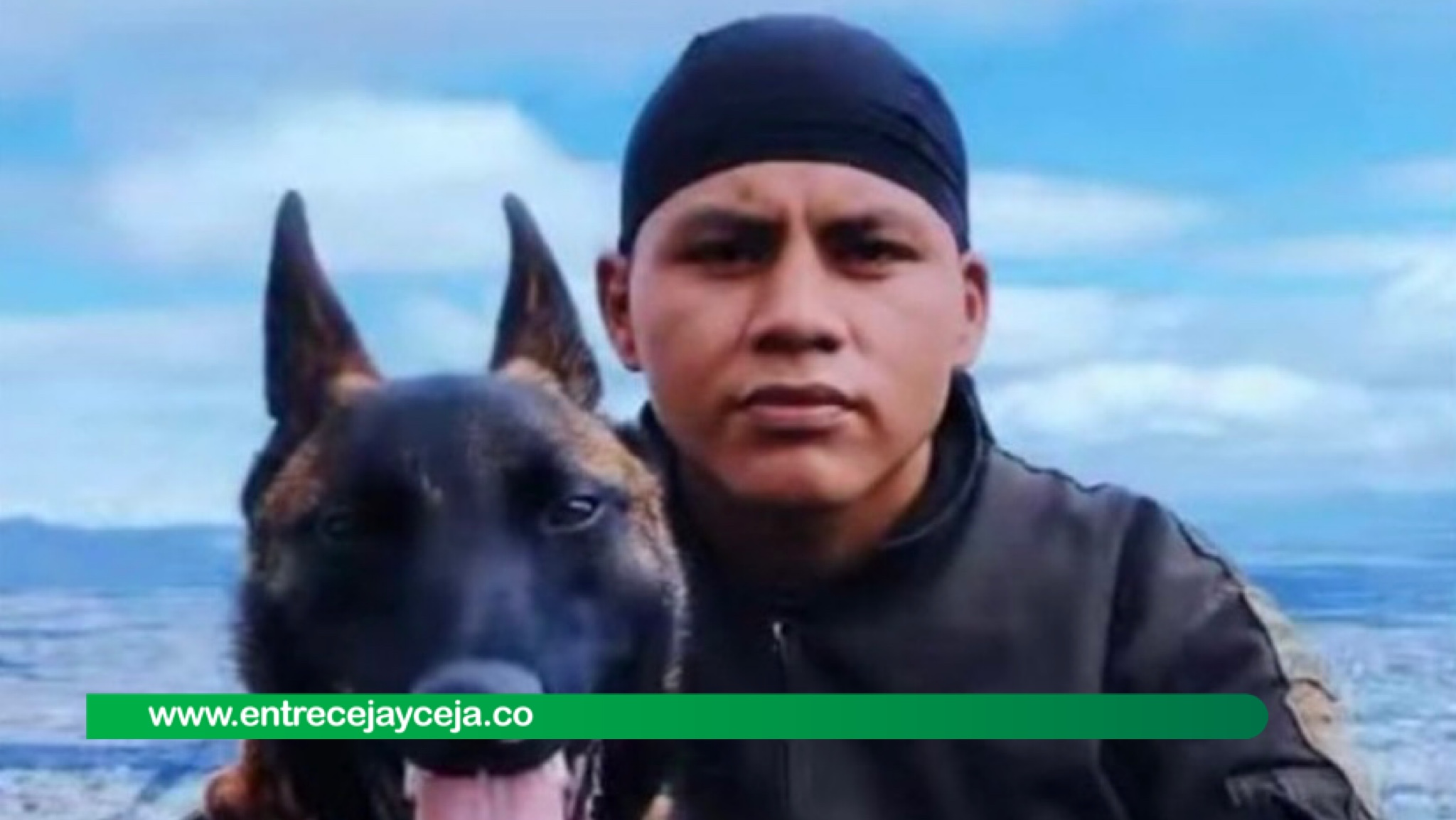 Guía canino de Wilson sigue en la selva; se niega a dejar a su compañero