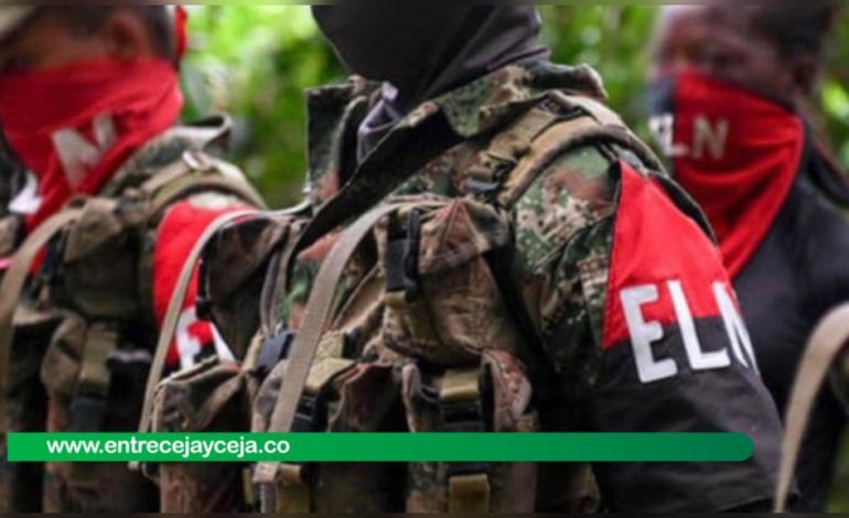 ELN ordena a sus unidades cesar acciones ofensivas en el país