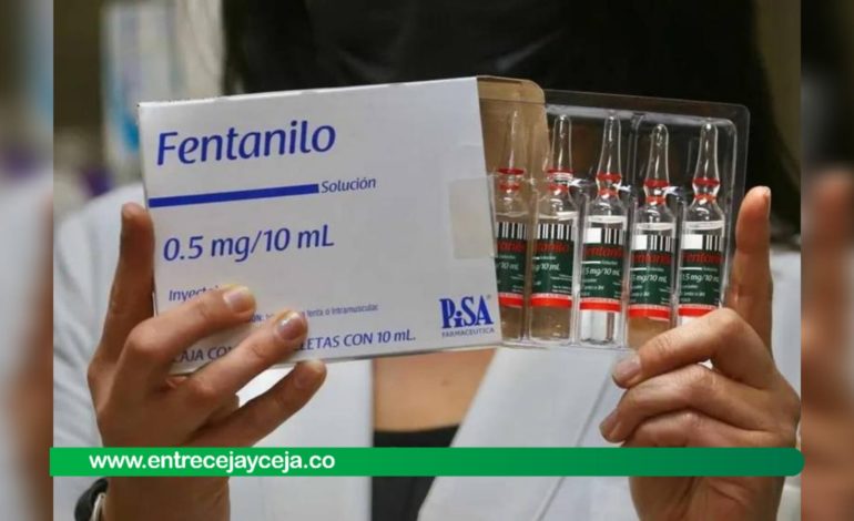 Cayó el cargamento de fentanilo más grande hallado en Colombia