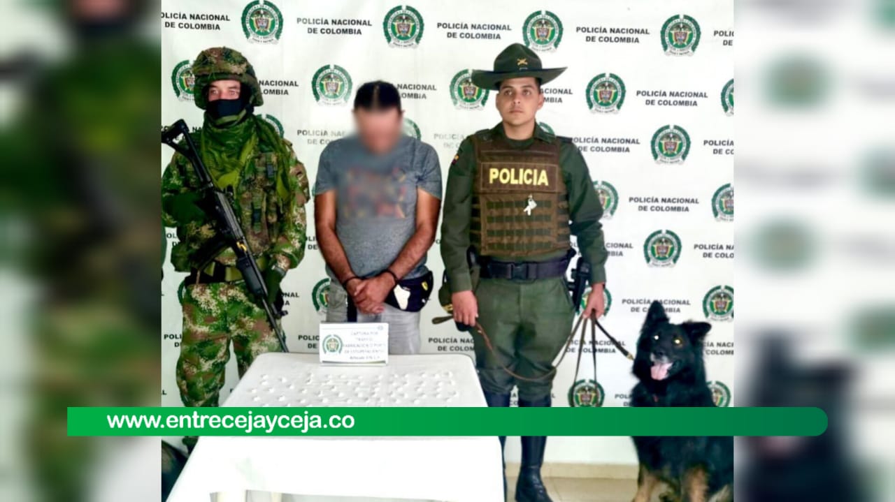 Perritos policía siguen dando golpes al microtráfico