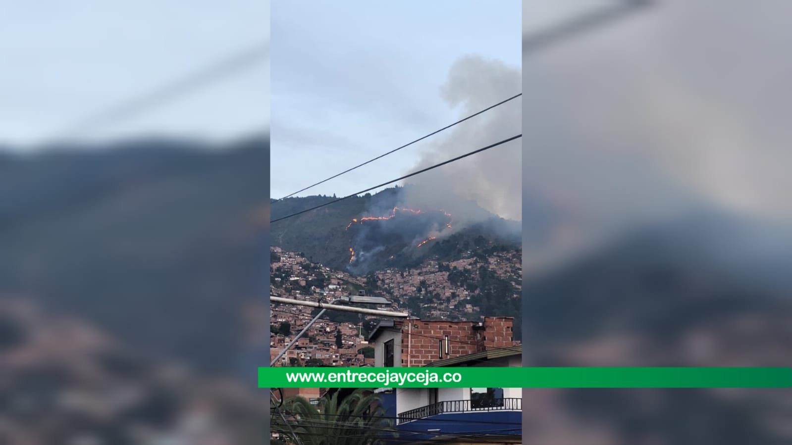 Incendio en el sector de El Seminario habría sido provocado por pirómanos
