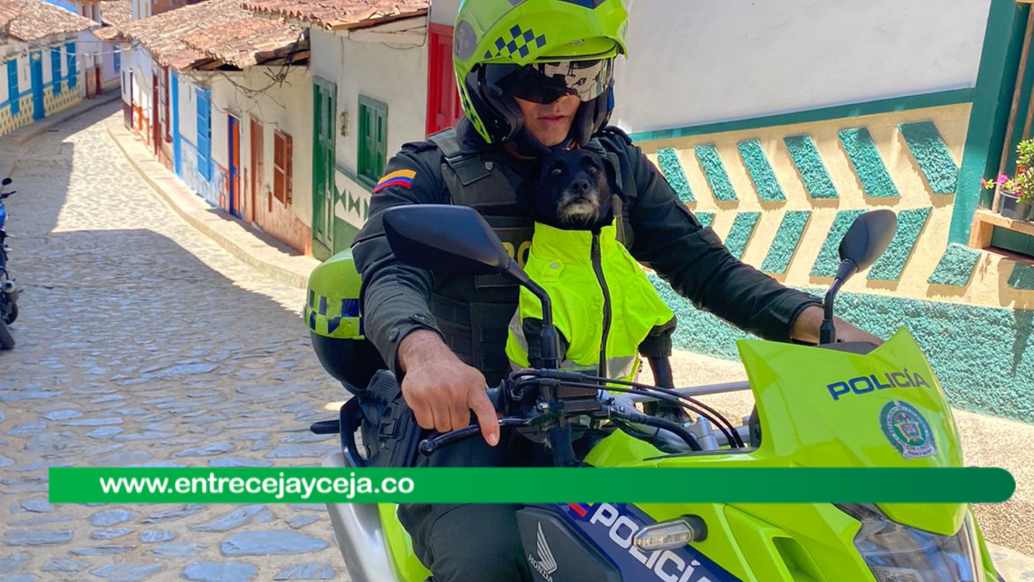 Barbas el perrito policía más querido del Oriente Antioqueño