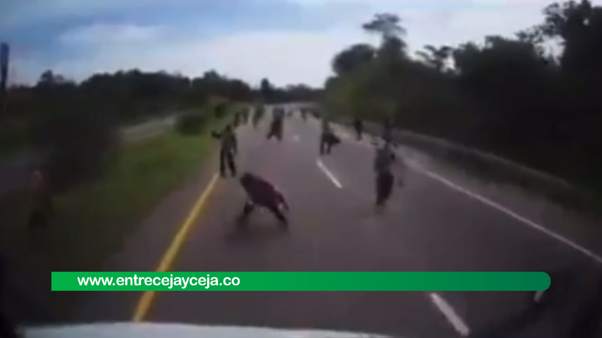 Camioneros culpan al gobierno de inseguridad en las vías