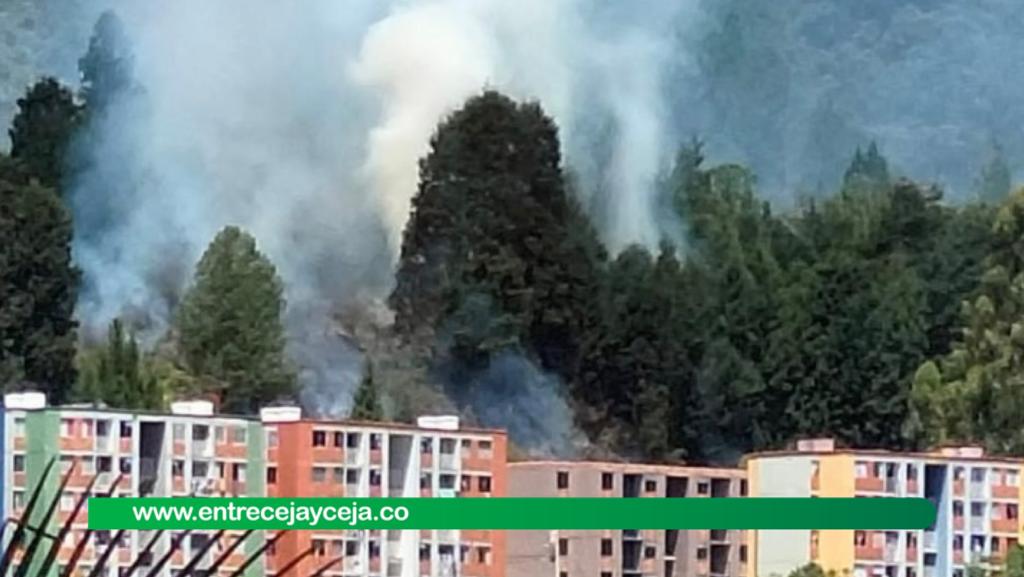 Autoridades piden evacuar casas aledañas a incendio forestal
