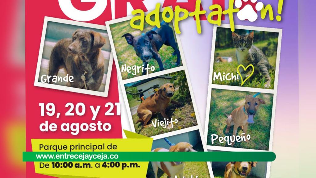 En el marco de las Fiestas de la Empanada habrá adoptatón de Animales
