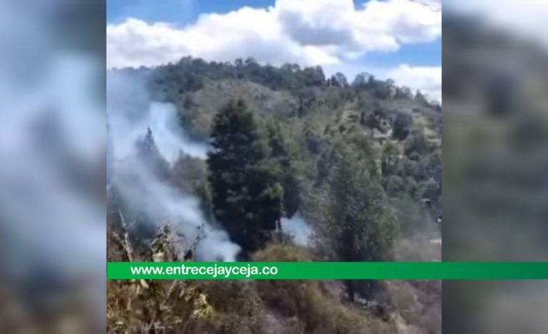 Bomberos controlaron incendio forestal en el sector de La Brizuela
