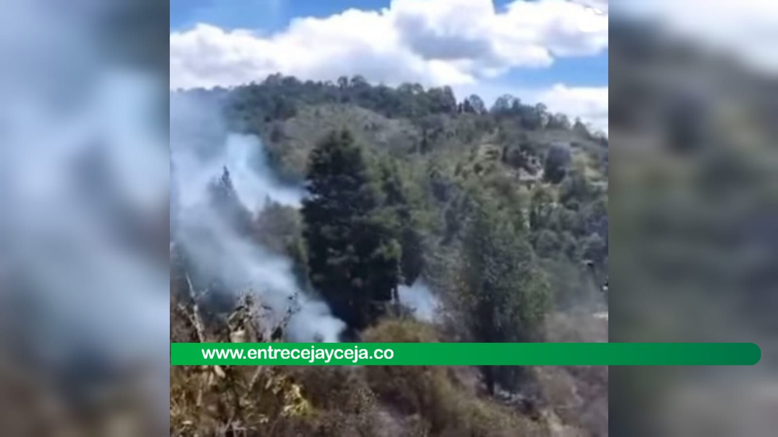 Bomberos controlaron incendio forestal en el sector de La Brizuela