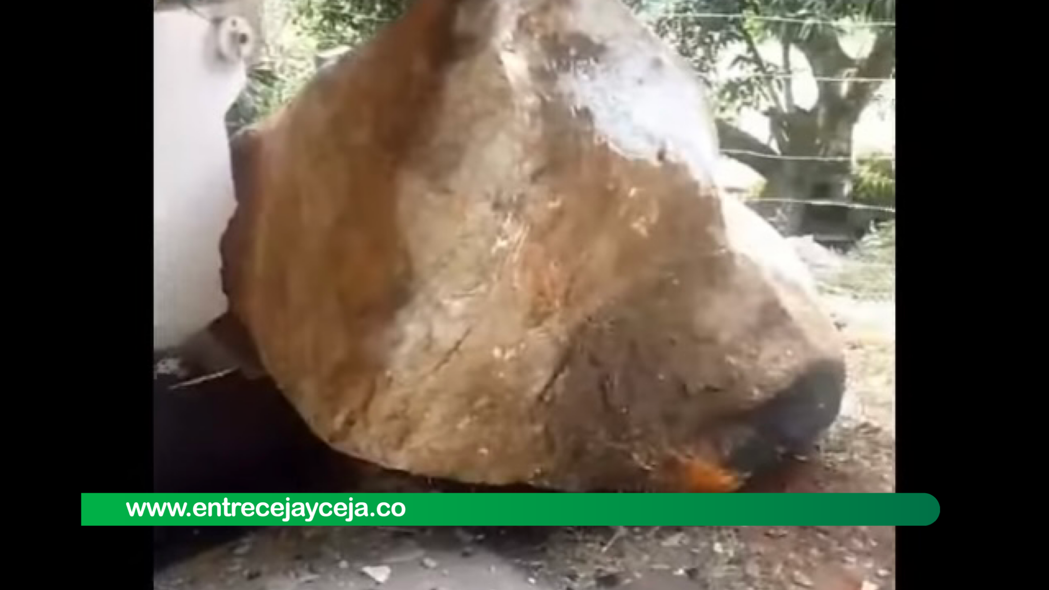 Enorme roca cayó de una montaña y dejó sin casa a una familia