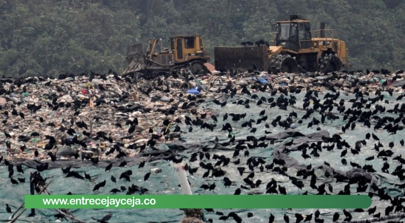 Alerta en La Pradera: Municipios de la región podrían quedarse sin donde botar basuras