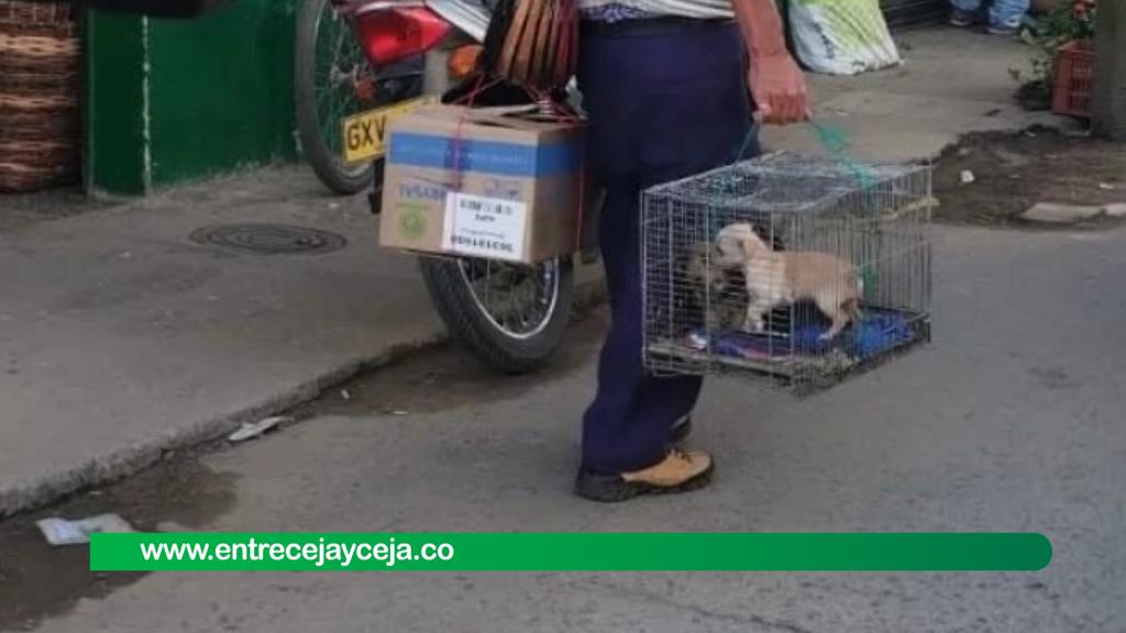 Indignación por venta de animales en plena plaza de mercado de El Santuario