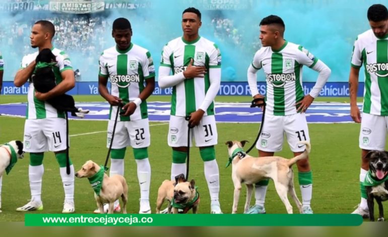 Por cada gol que Nacional marque un perro será adoptado