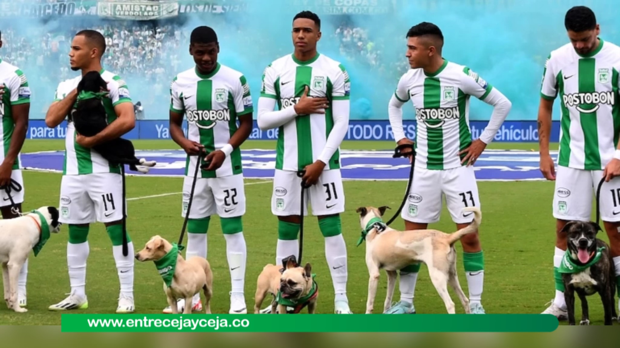 Por cada gol que Nacional marque un perro será adoptado