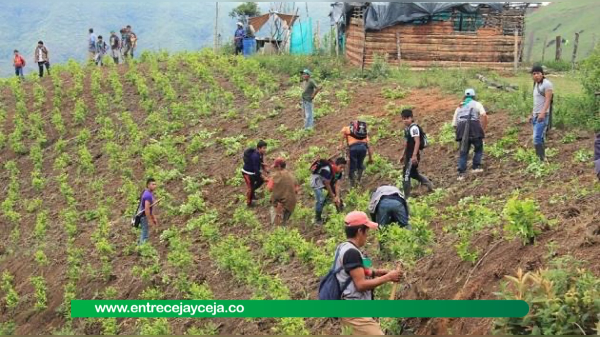 ¡Descarados! 6ta vez que roban a campesinos emprendedores